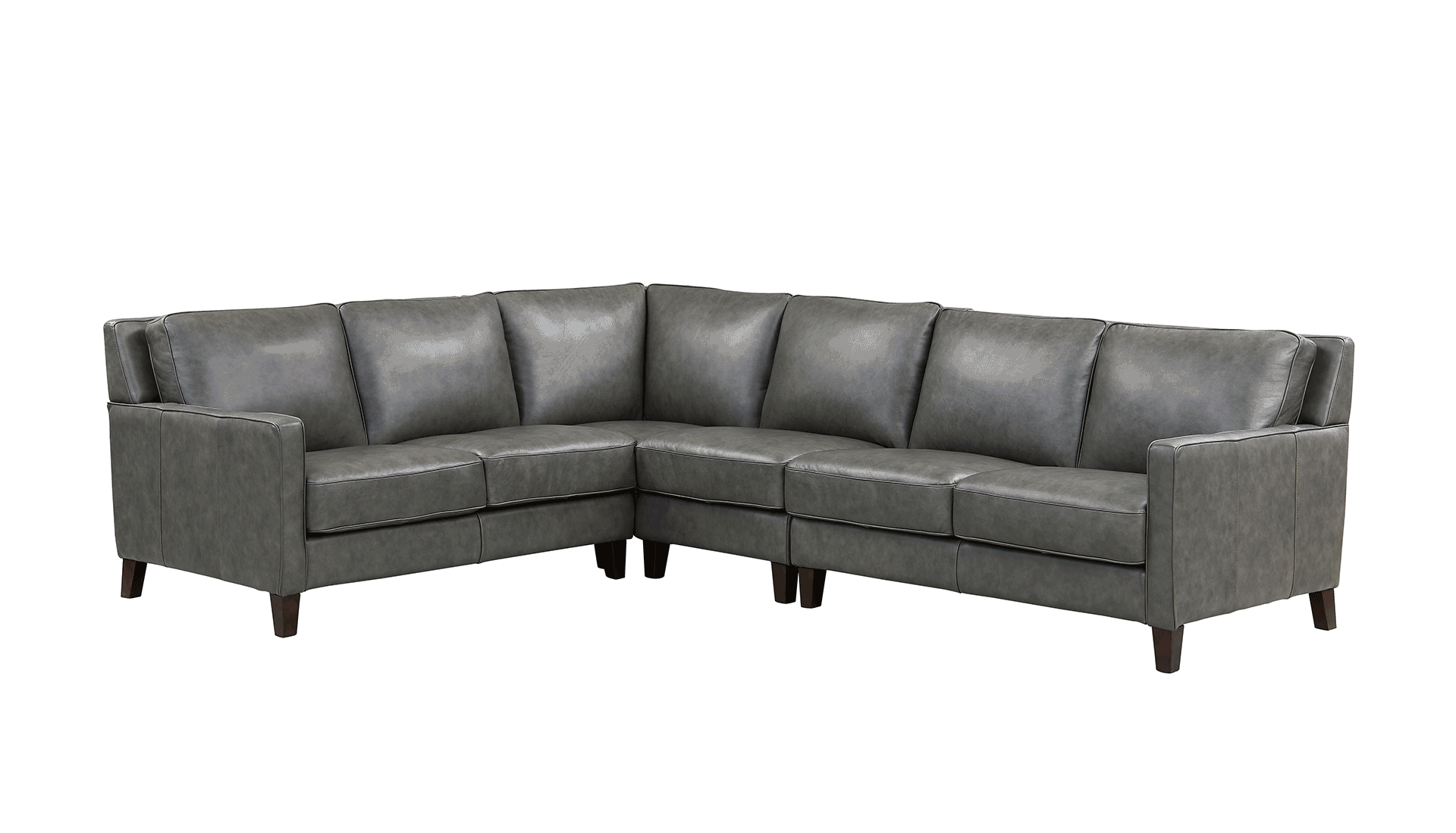 Ashby Leather Sectional Collection - Hydeline USA